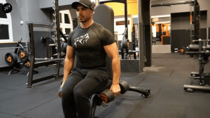 seated lateral raises