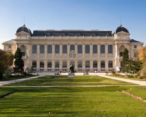 Historic Golden Specimens Snatched in Bold Raid at France's Natural History Institution